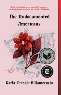 Cover of "The Undocumented Americans"